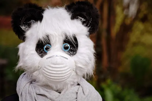 NoxWin Kasino Sokongan